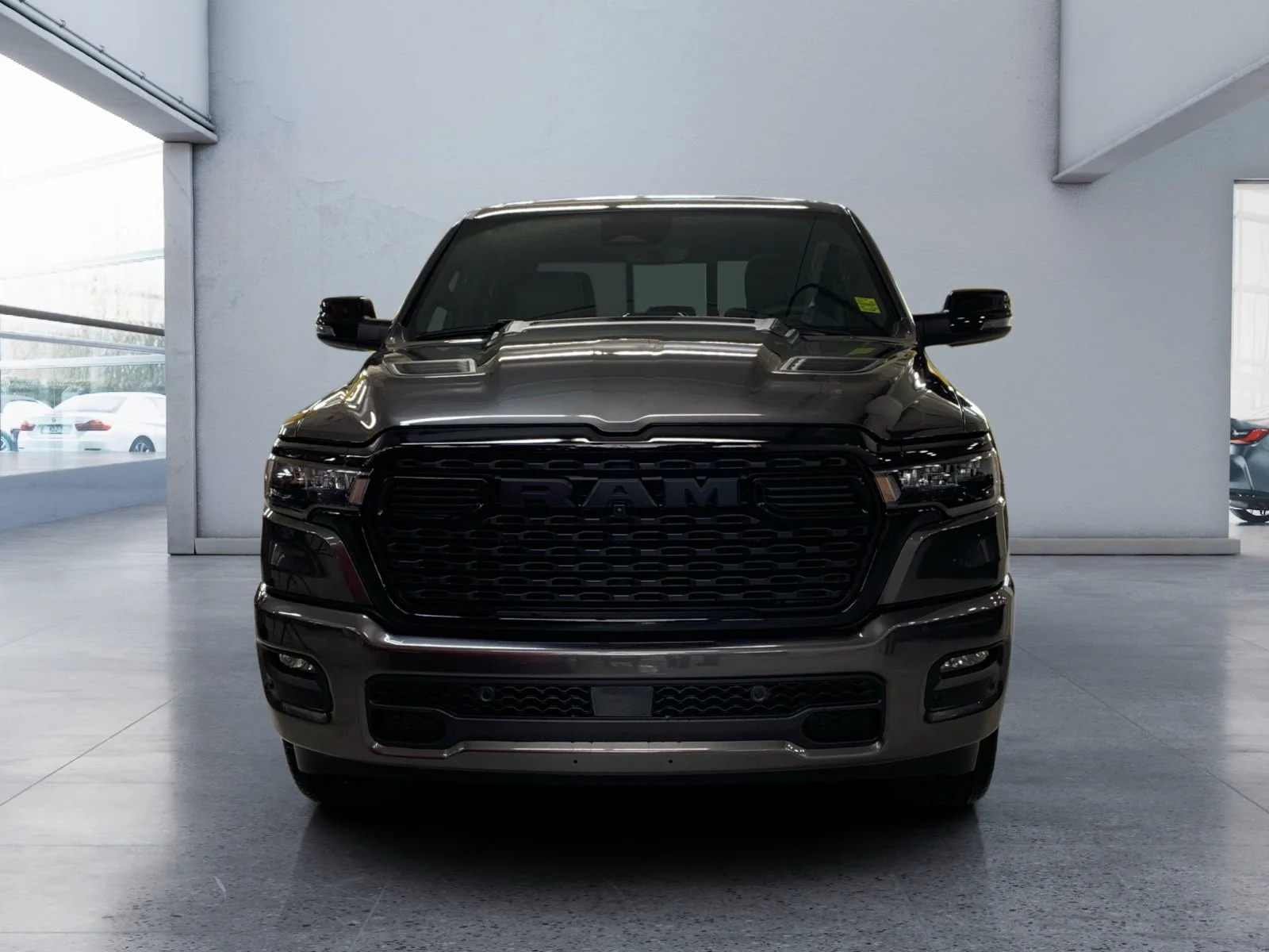 New 2026 Granite Crystal Metallic Ram Sport image 8