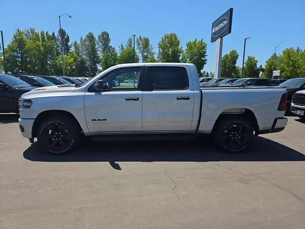 New 2026 Silver Zynith Exterior Paint RAM Express image 2
