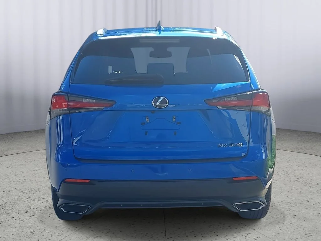 Used 2019 Blue Lexus 300 Base image 4