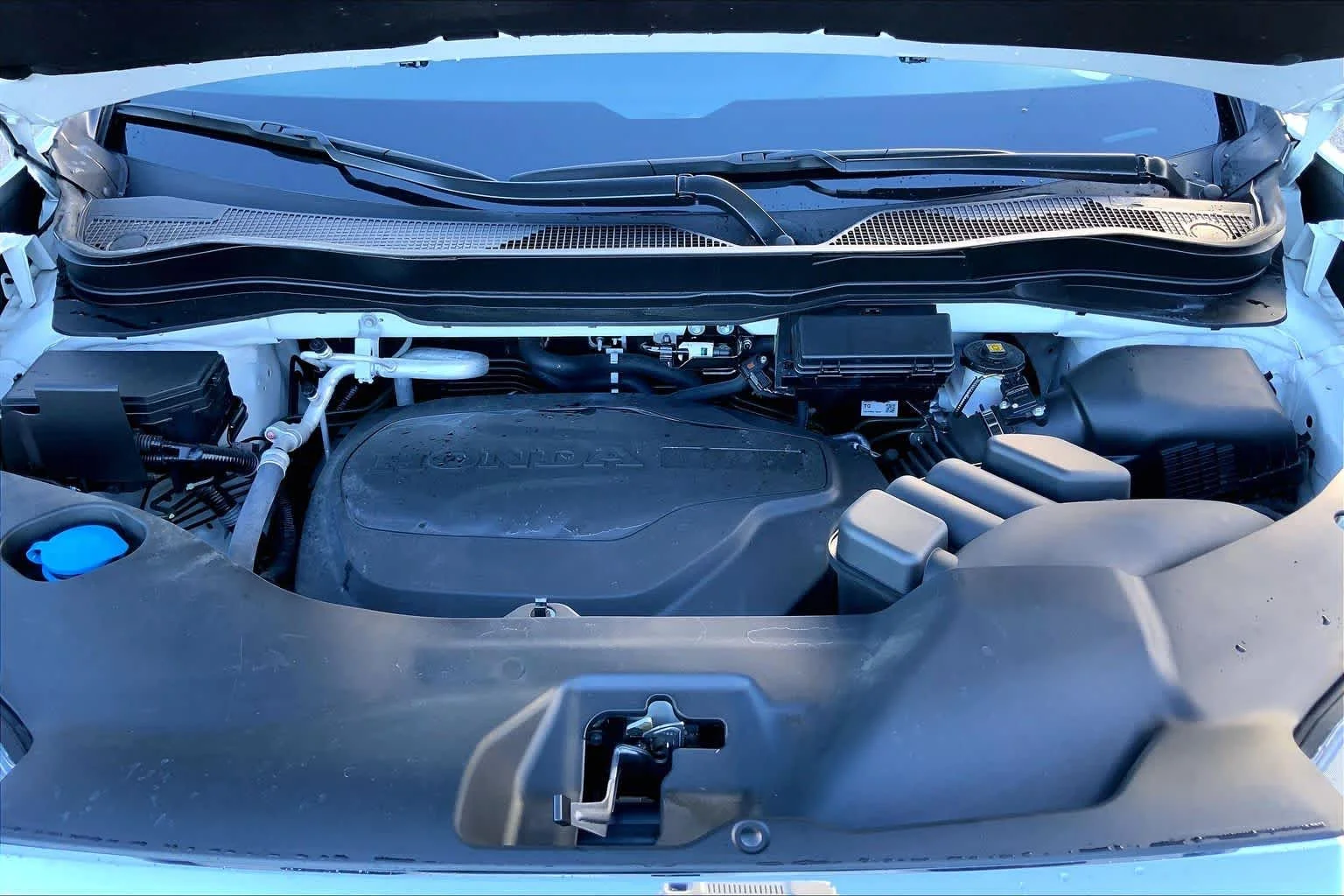 Used 2025 Platinum White Pearl Honda RTL image 30