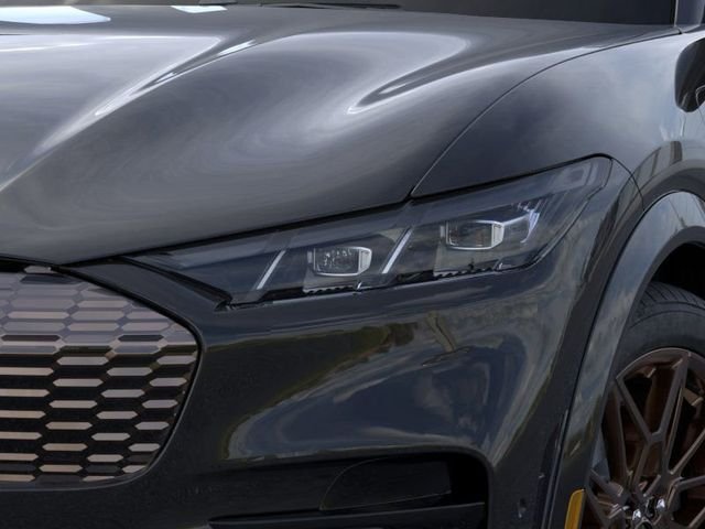 2025 Ford Mustang Mach-E GT - Photo 18
