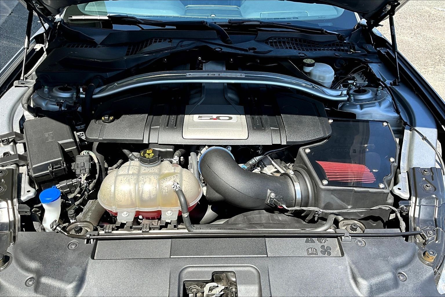 Photo 25