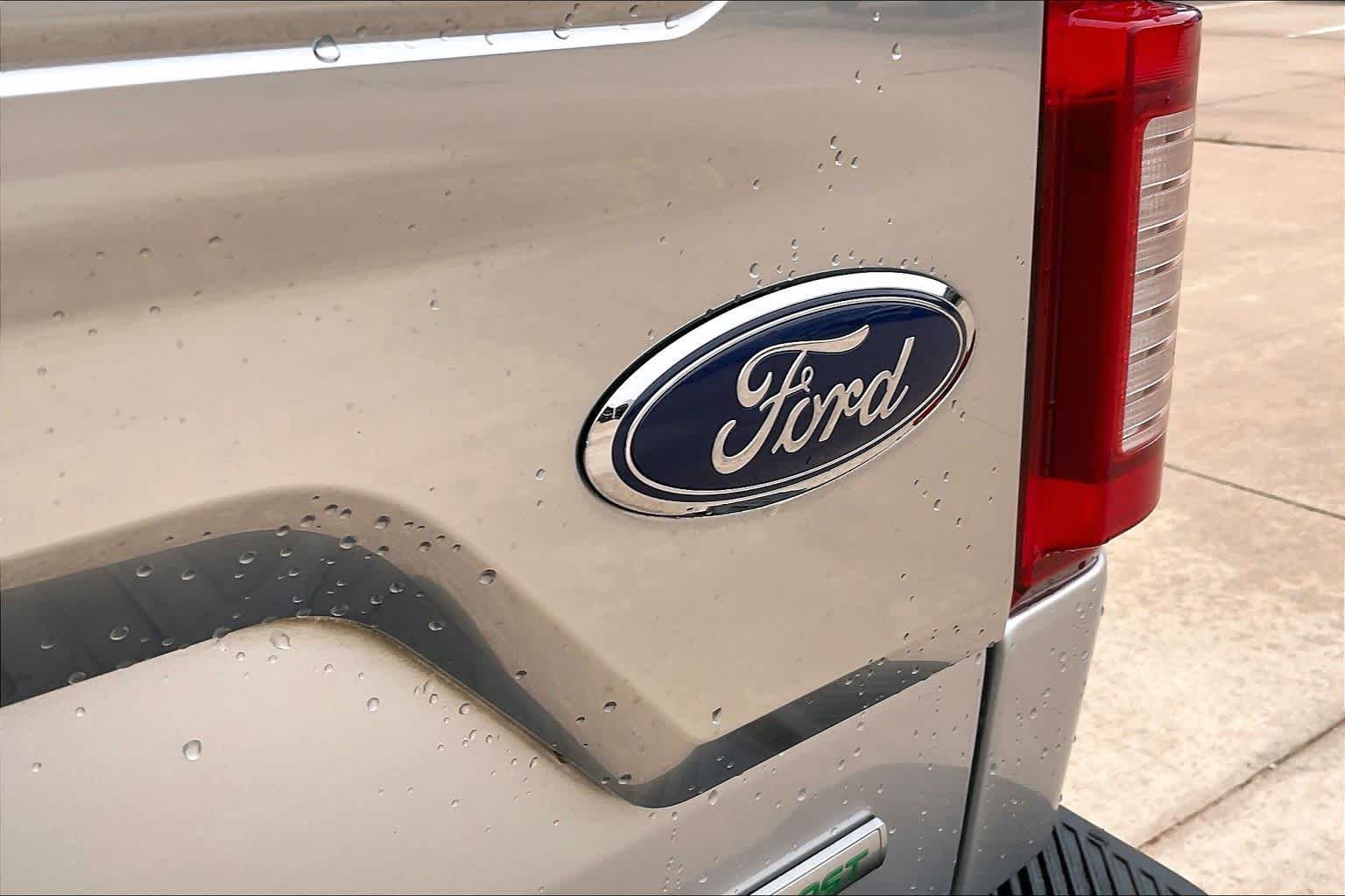 Used 2018 Ingot Silver Ford Platinum image 30