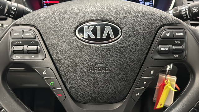 Used 2015 Graphite Steel Kia EX image 14