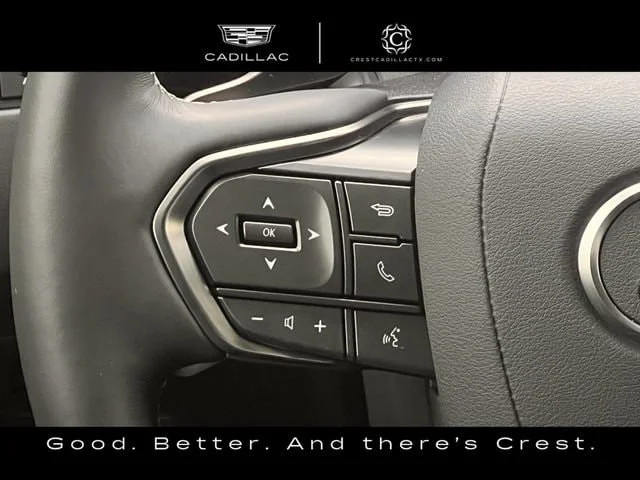 Used 2025 Gray Lexus Luxury image 11