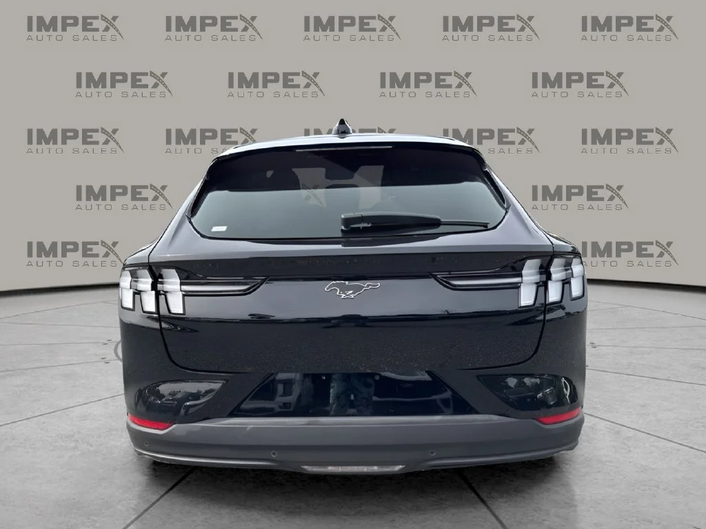 Used 2025 Black Ford Premium image 4