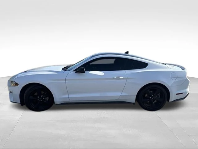 Used 2023 White Ford EcoBoost image 4