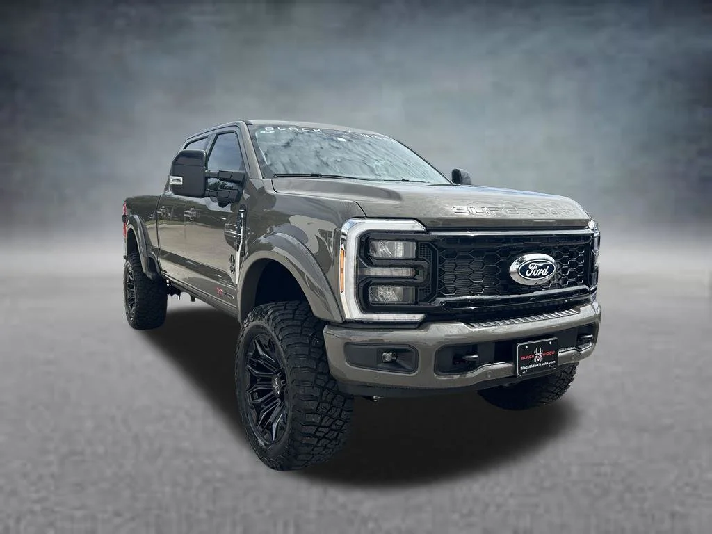 New 2027 Marsh Gray Metallic Ford BLACK WIDOW image 2