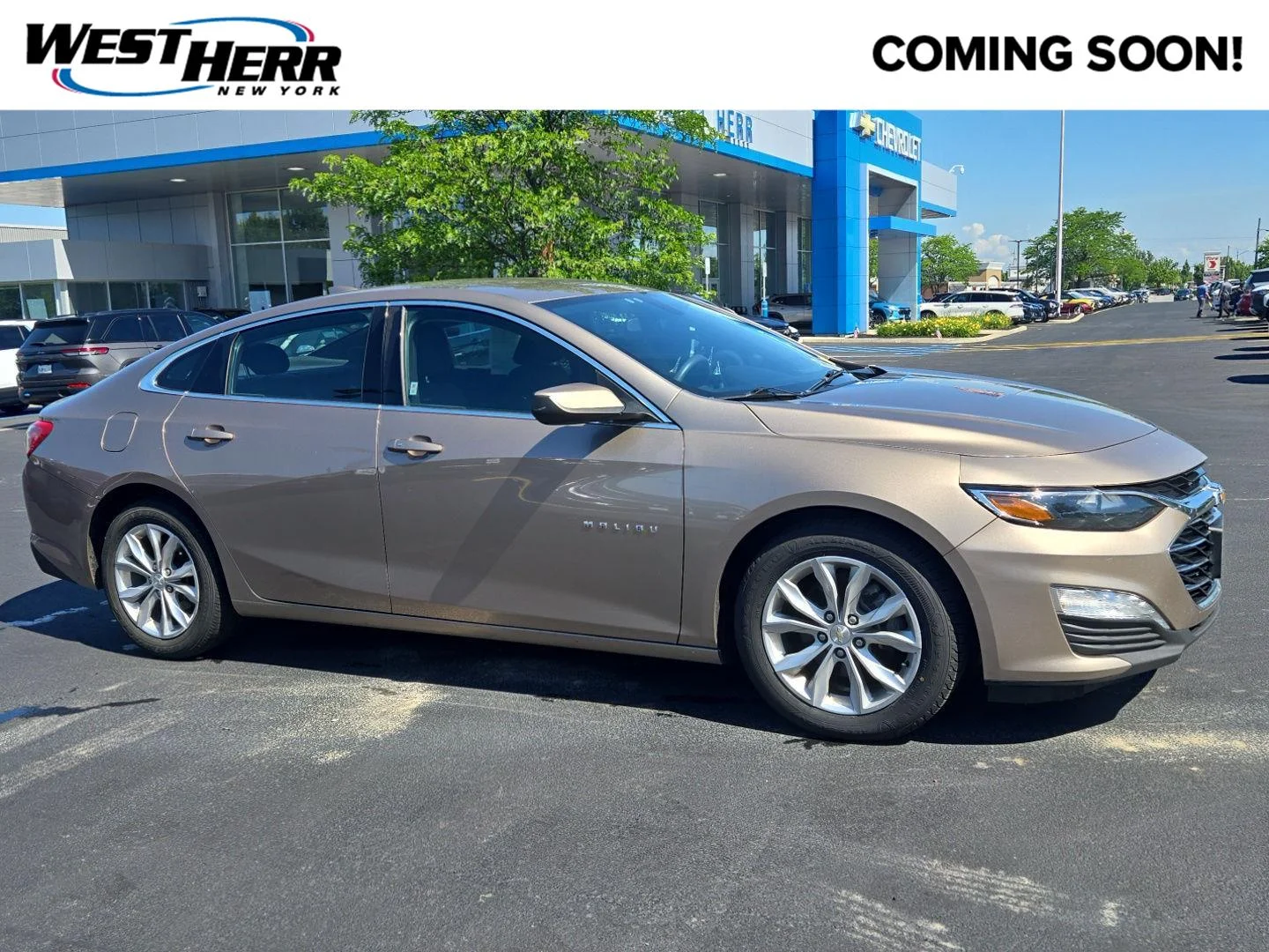 Used 2019 Sandy Ridge Metallic Chevrolet LT image 1
