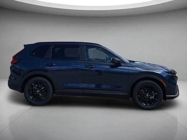 New 2026 Canyon River Blue Metallic Honda Sport-L image 6