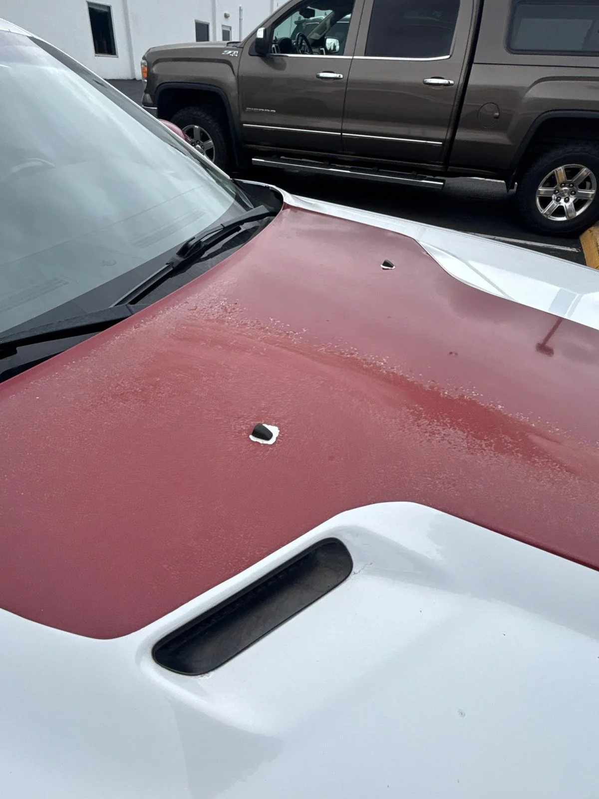 Used 2013 Bright White Clearcoat Dodge SXT image 18