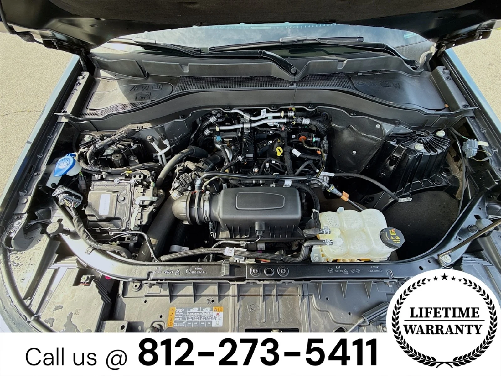 Used 2023 BLACK Ford XLT image 7