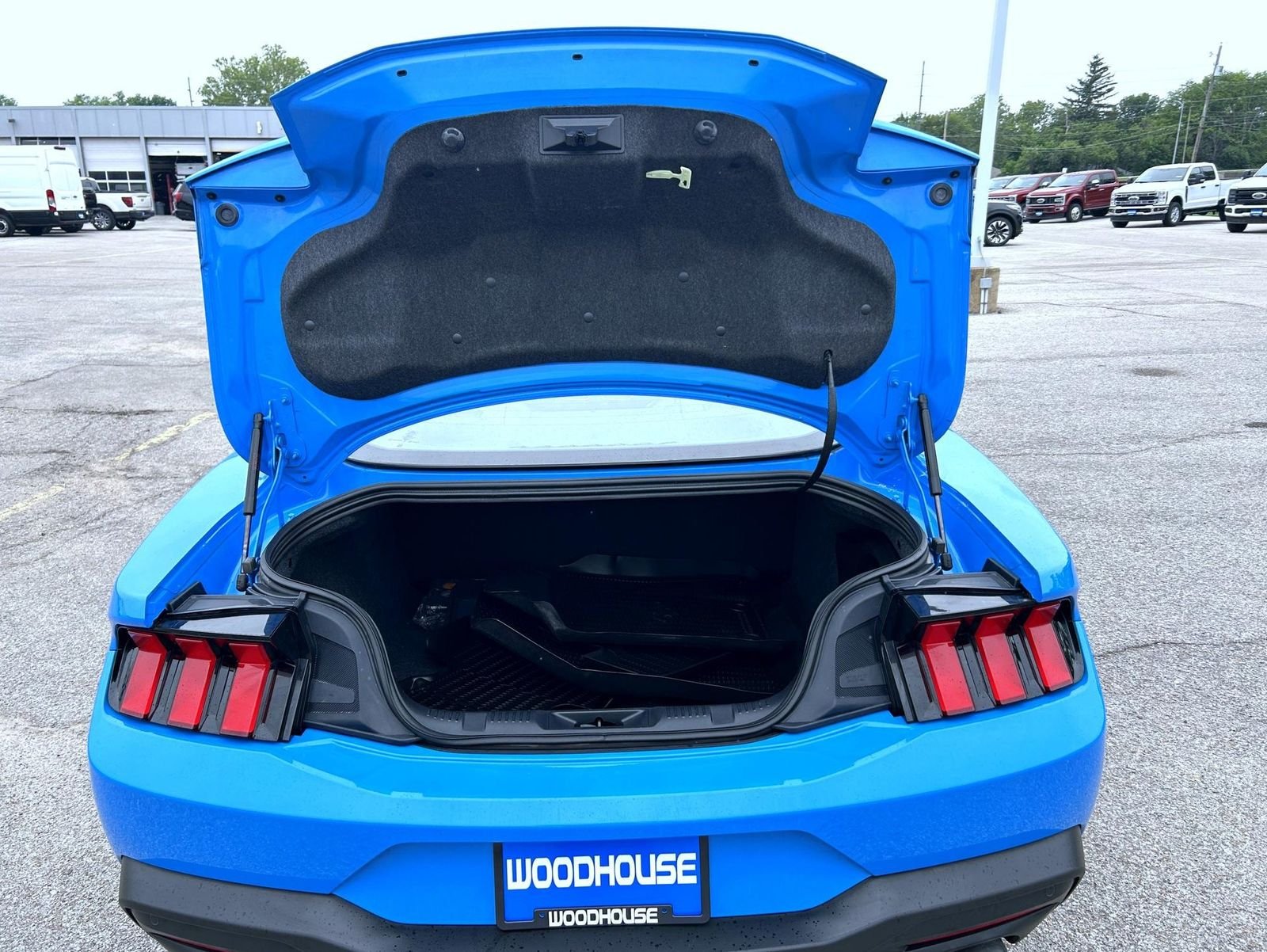 Used 2024 Blue Ford EcoBoost Premium image 19