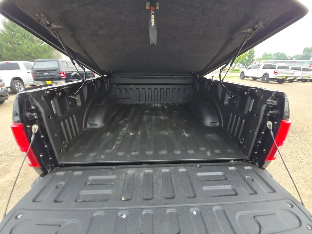 Used 2019 Black Ford Limited image 23