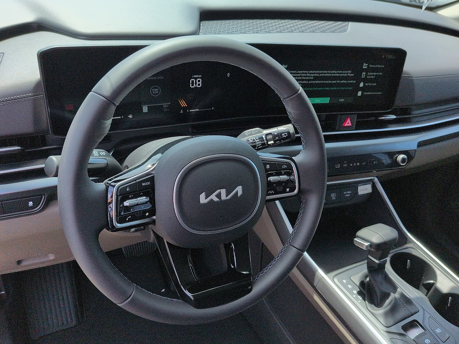 New 2026 Panthera Metal Kia LXS image 9