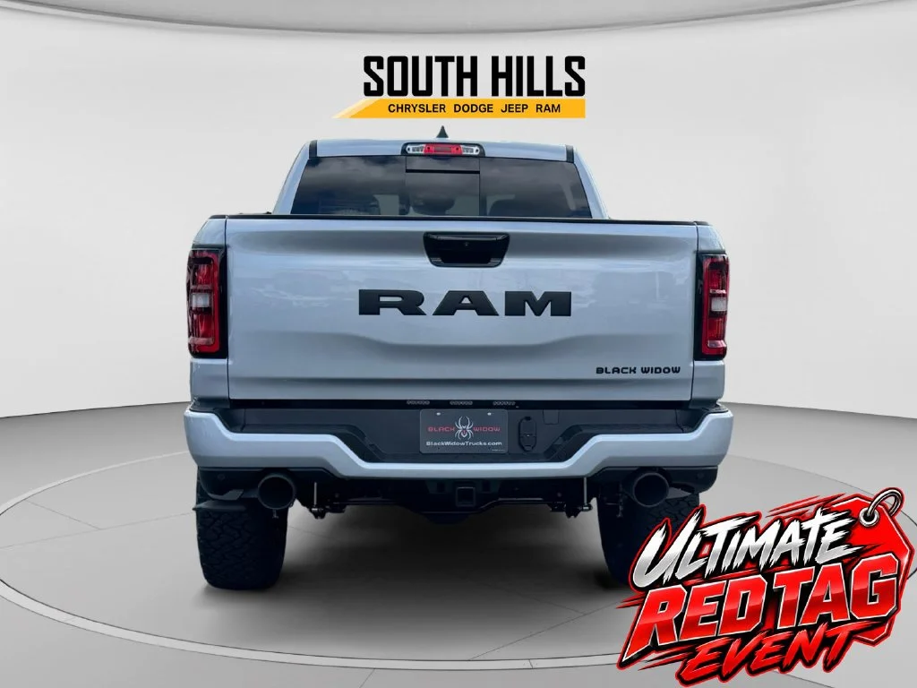 New 2026 Silver Zynith Exterior Paint RAM Big Horn Black Widow image 4