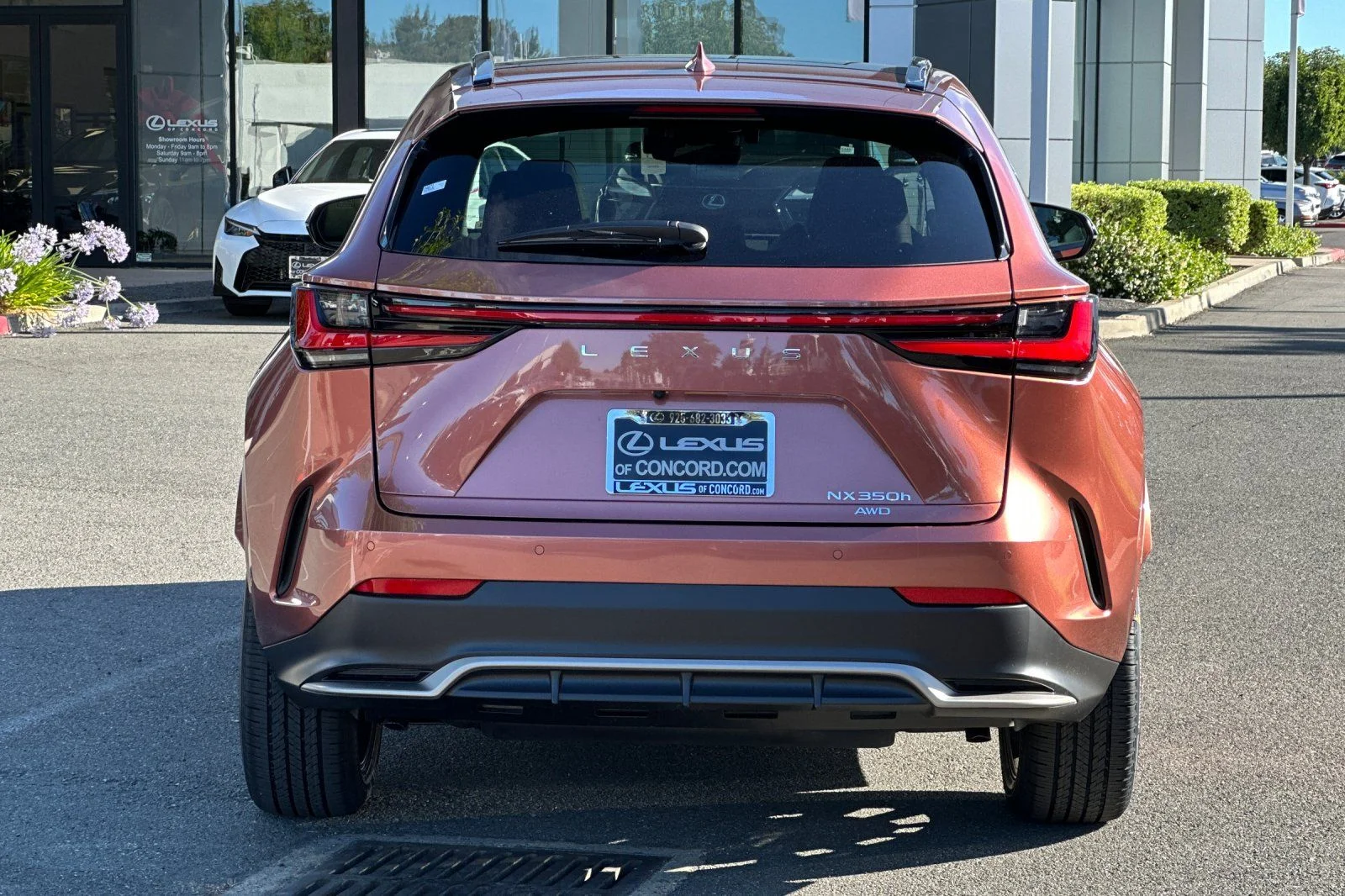New 2026 Copper Crest Lexus NX 350h F SPORT HANDLING AWD image 5