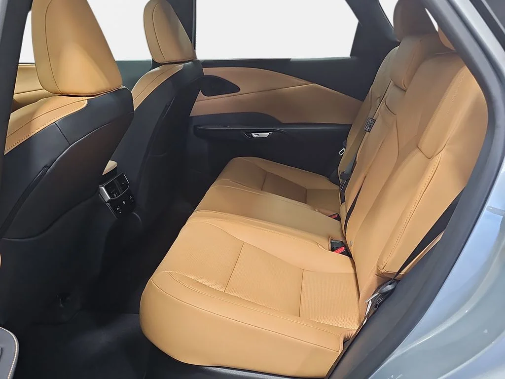 New 2026 Iridium Lexus PREMIUM PLUS image 10