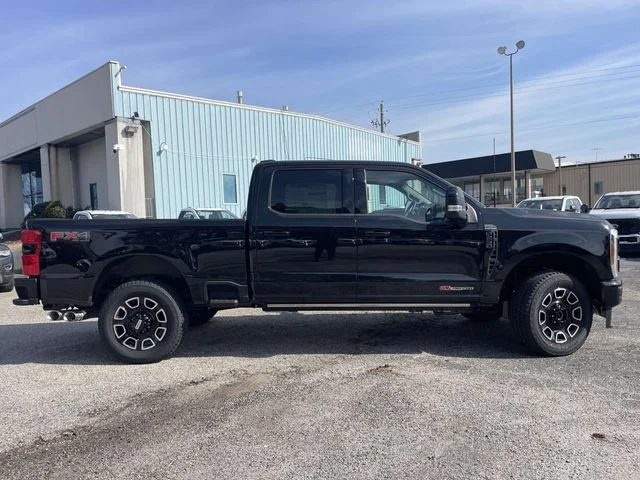 New 2026 Black Ford Platinum image 2