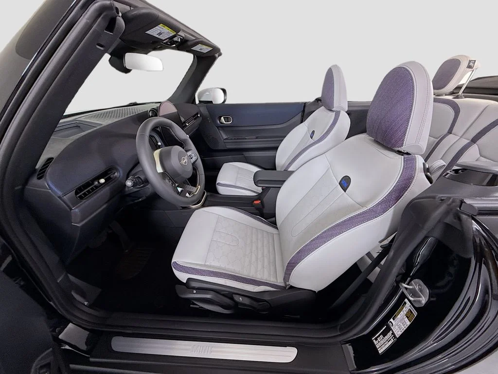 New 2026 Black MINI  image 18