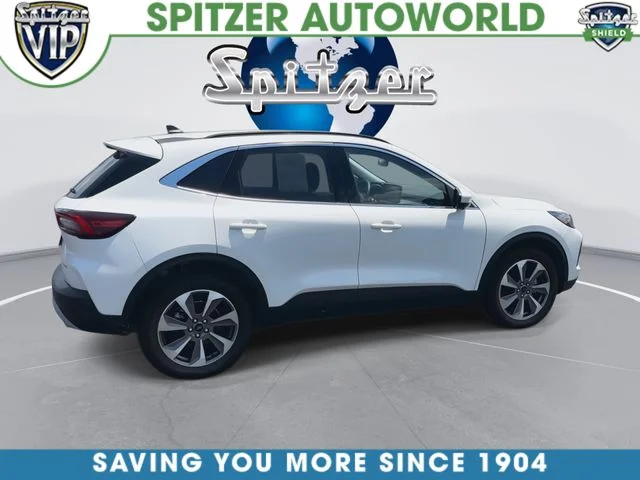 Used 2024 White Ford Platinum image 10