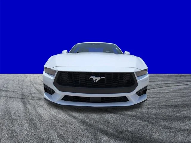 New 2026 Oxford White Ford EcoBoost® Premium Fastback image 9