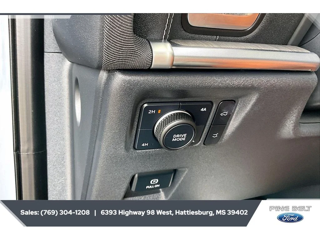 Used 2025 GRAY Ford Platinum image 23