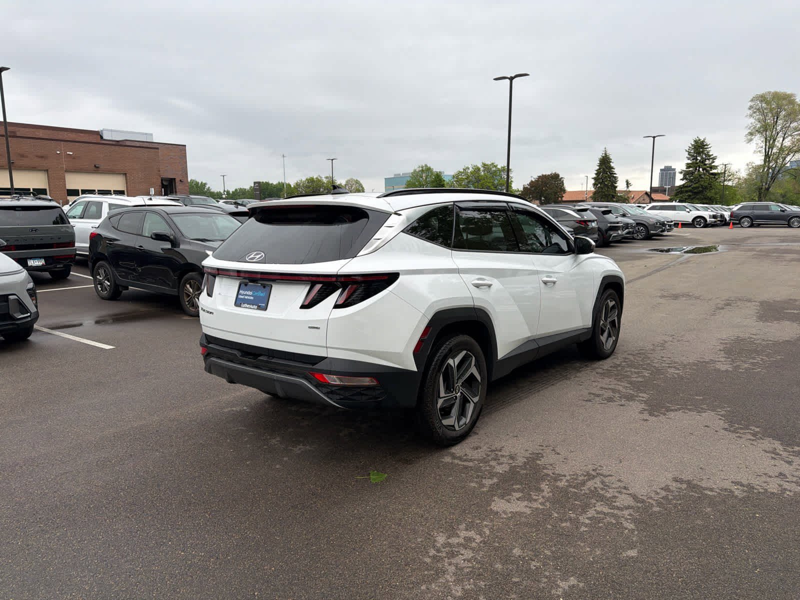 Certified 2024 Hyundai Tucson Limited with VIN 5NMJECDE3RH319113 for sale in Bloomington, Minnesota