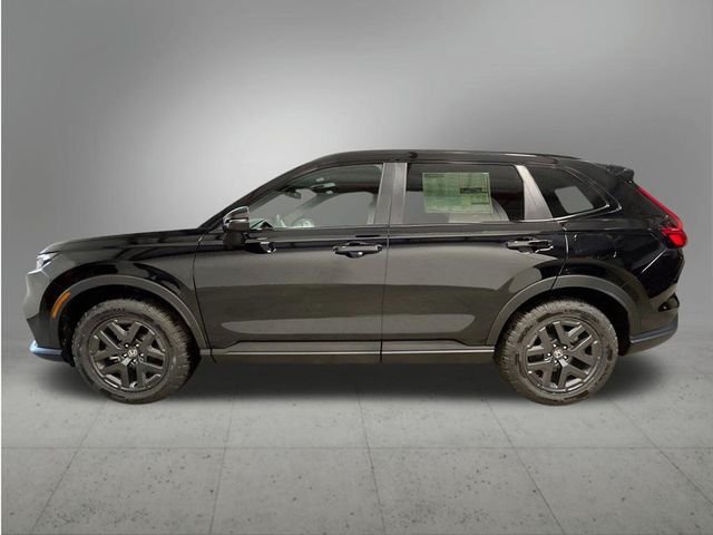 New 2026 Crystal Black Pearl Honda TrailSport image 2