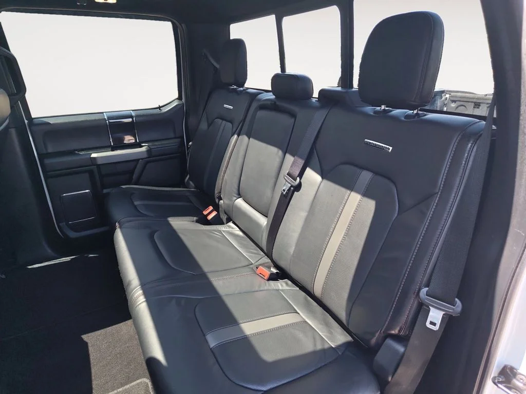 Used 2020 White Ford Platinum image 13