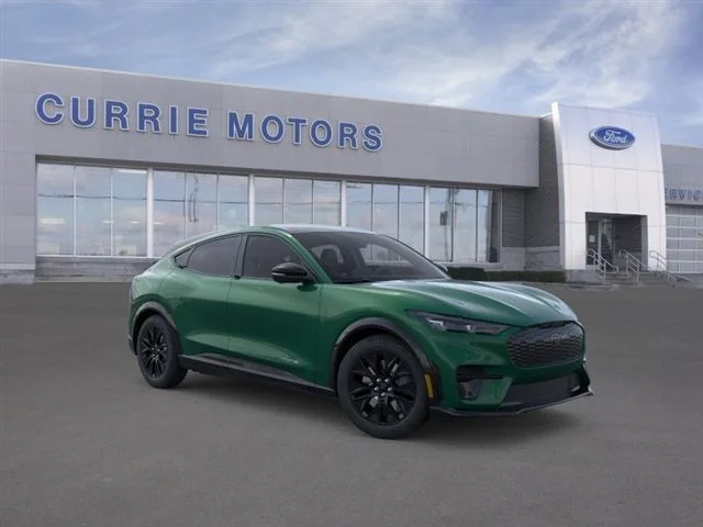 New 2026 Eruption Green Metallic Ford Premium image 29