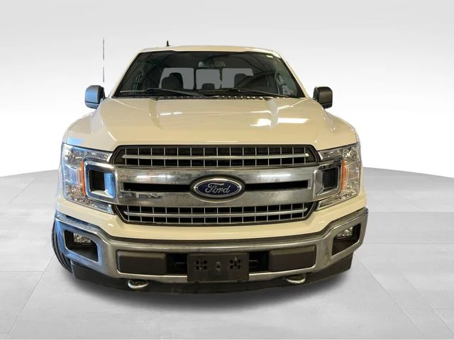 Used 2019 White Ford XLT image 9