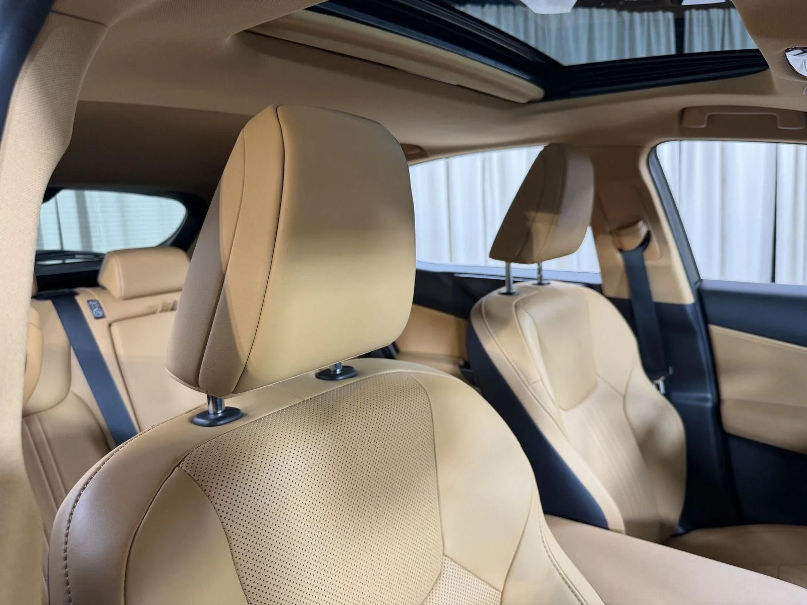 Used 2024 Grecian Water Lexus NX 350h Premium image 45
