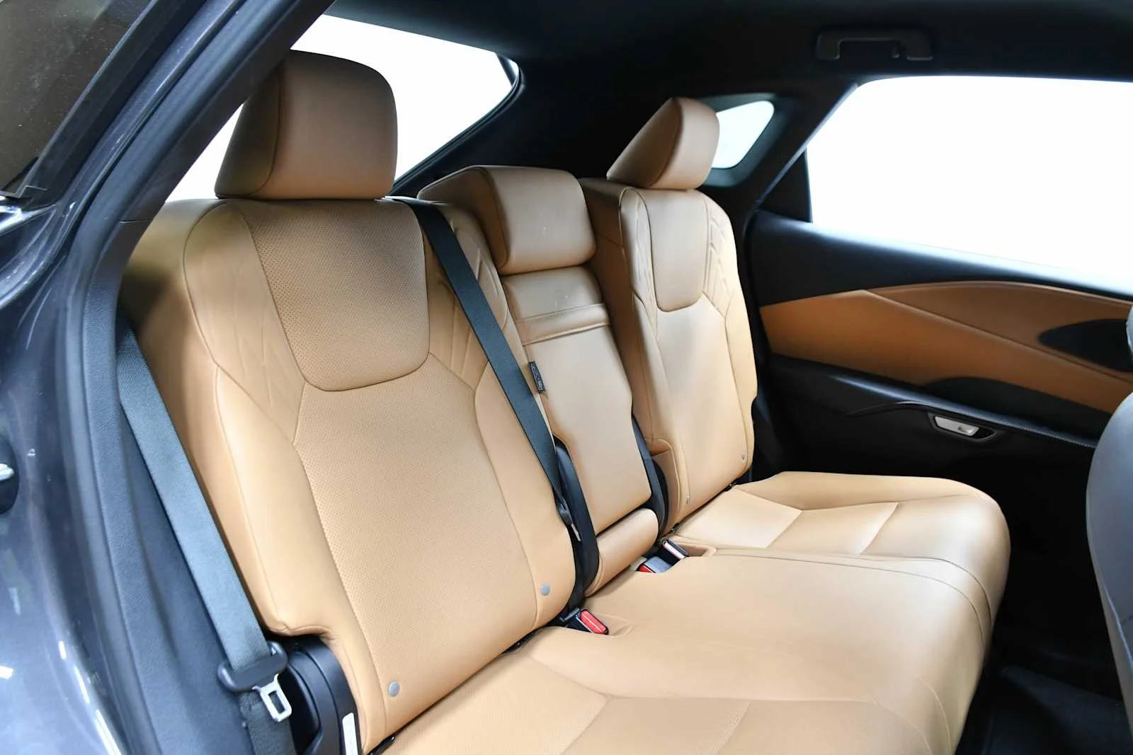2025 Lexus RX 350 - Photo 24