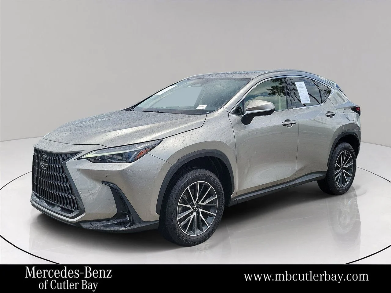 2024 Lexus NX