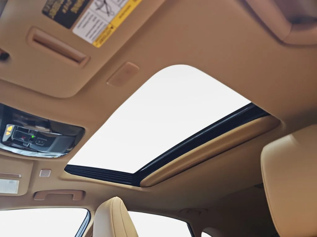 New 2026 Grecian Water Lexus PREMIUM image 29
