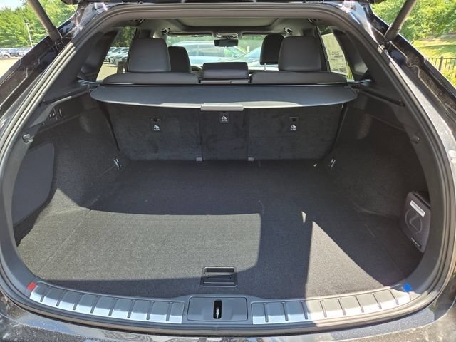 New 2026 Caviar Lexus PREMIUM PLUS image 26
