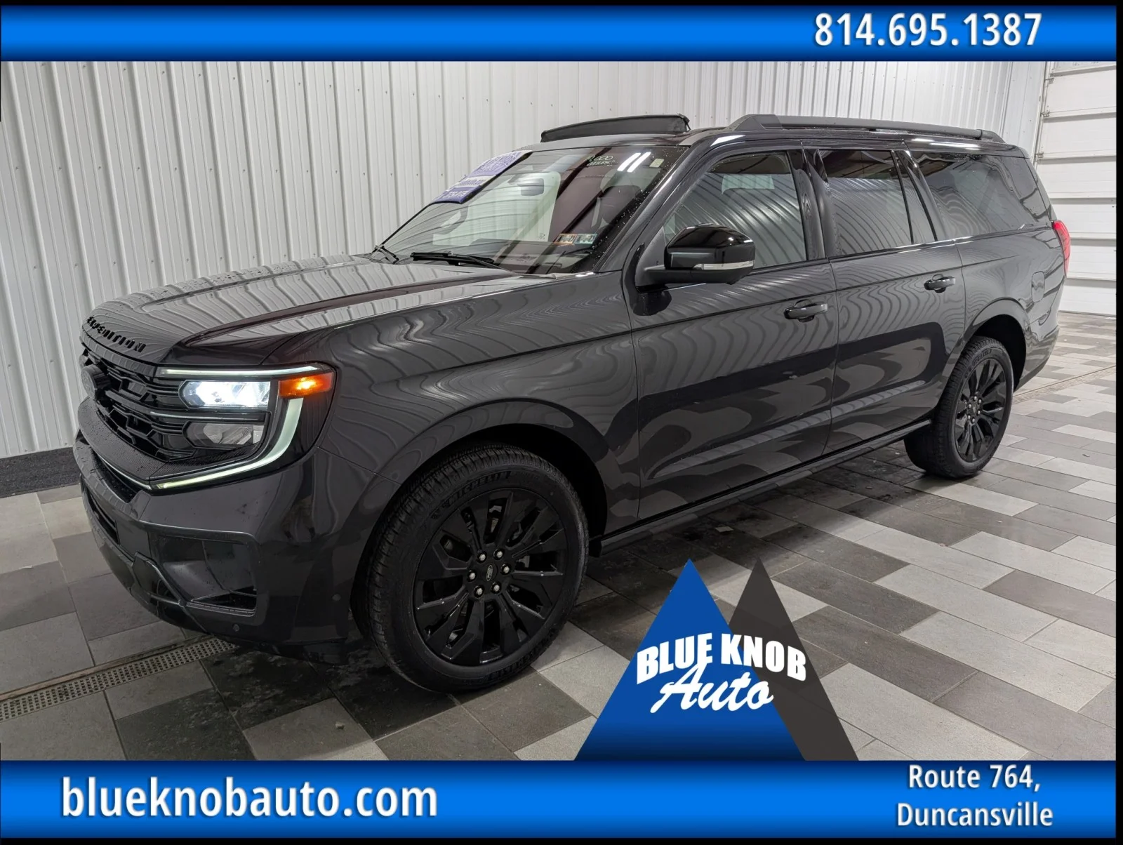 2025 Ford Expedition Platinum MAX 4x4's photo