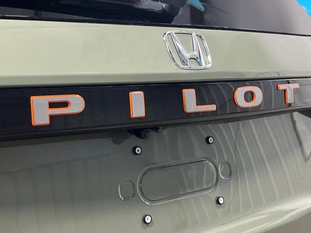 New 2026 Ash Green Metallic Honda TrailSport image 6