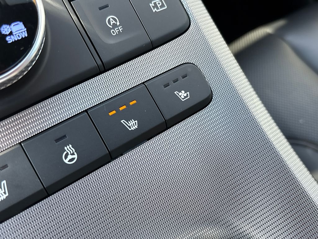 Used 2025 Black Hyundai Calligraphy image 39
