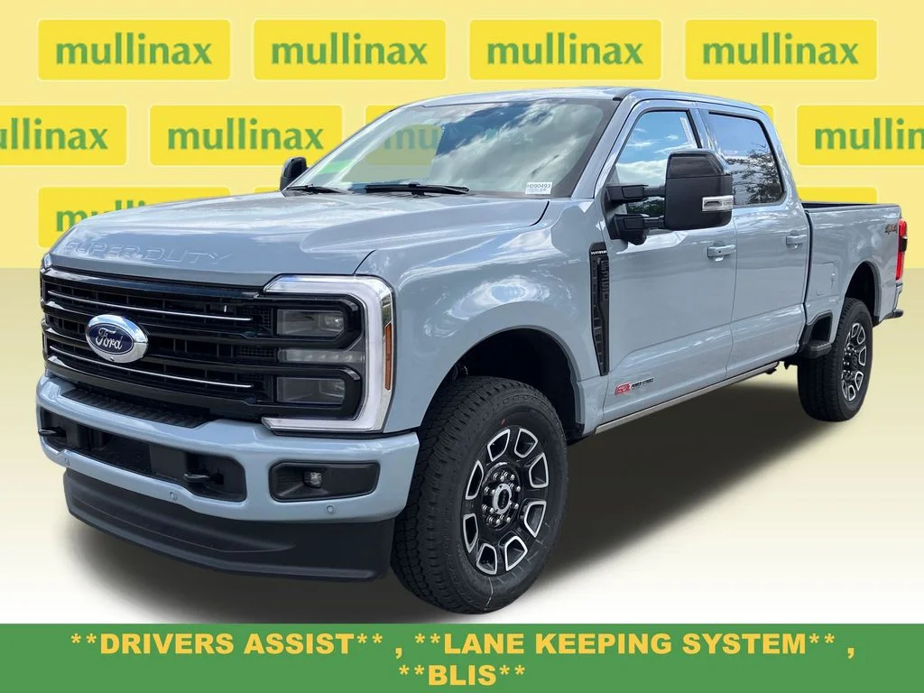 New 2026 Gray Ford Platinum image 15