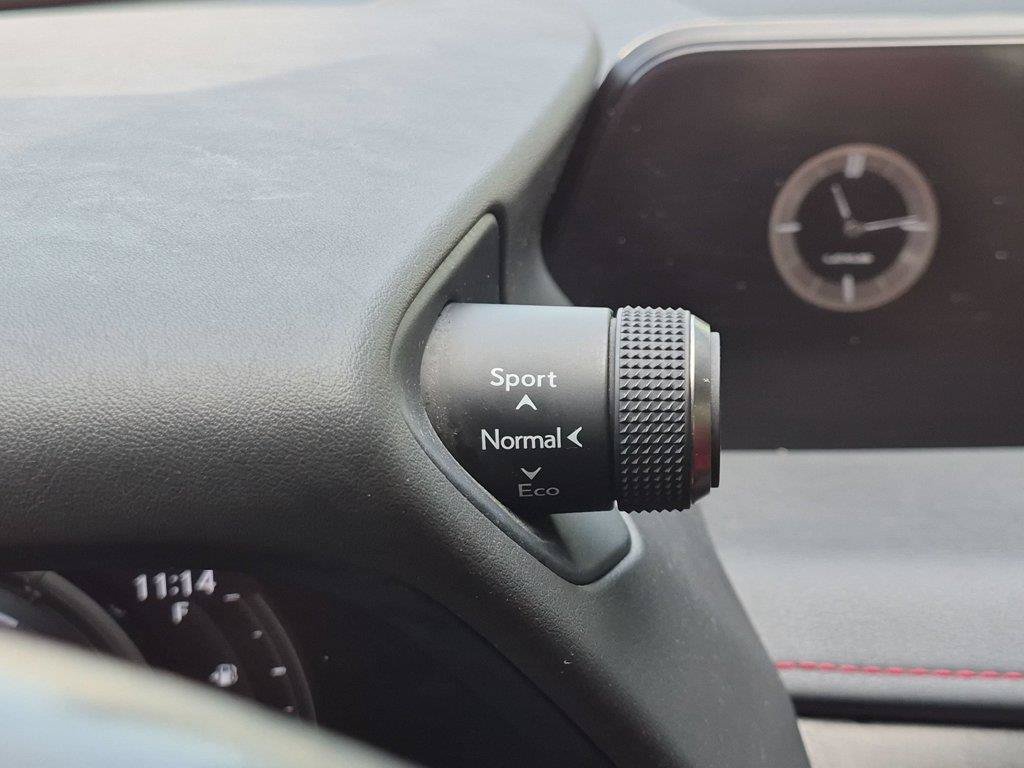 Used 2021 Gray Lexus 250h F SPORT image 16