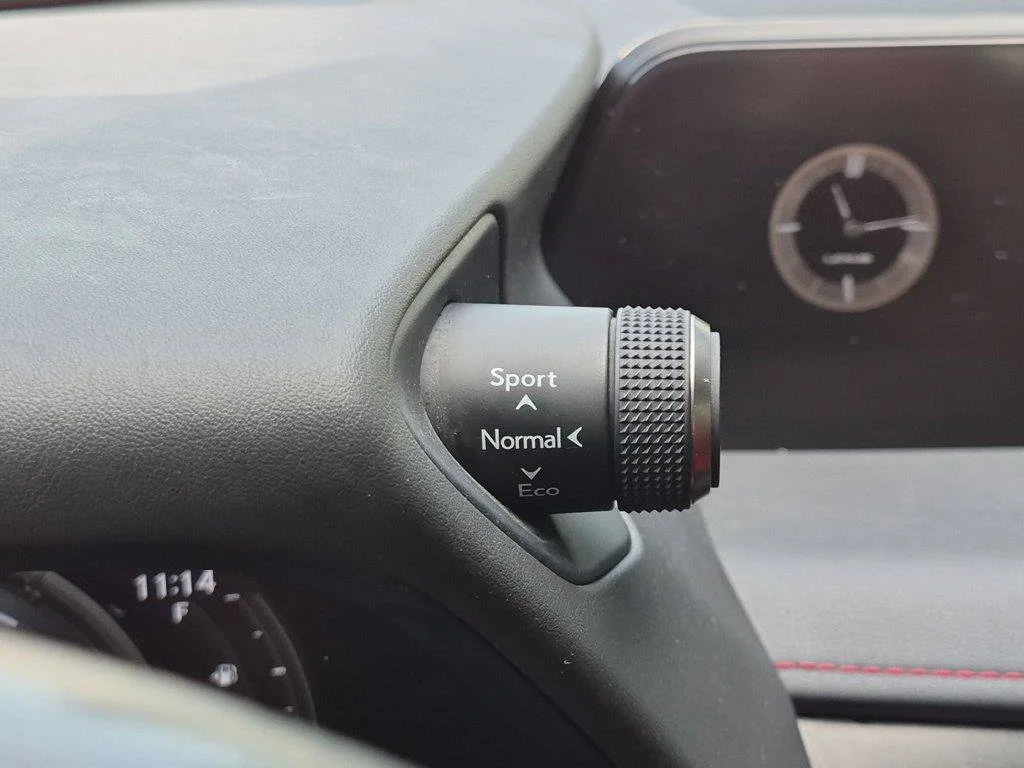 Used 2021 Gray Lexus 250h F SPORT image 16