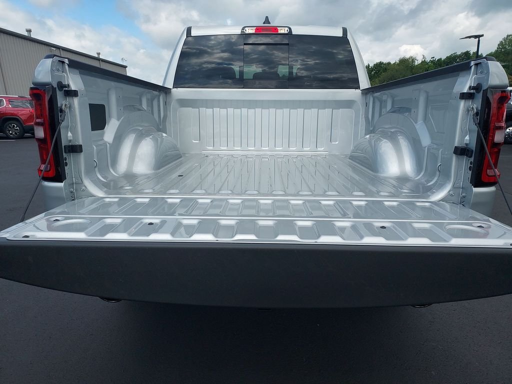 New 2026 Silver Zynith Exterior Paint RAM Express image 28