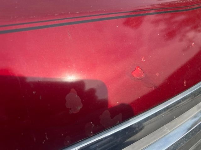 Used 2013 Red Ford SEL image 7