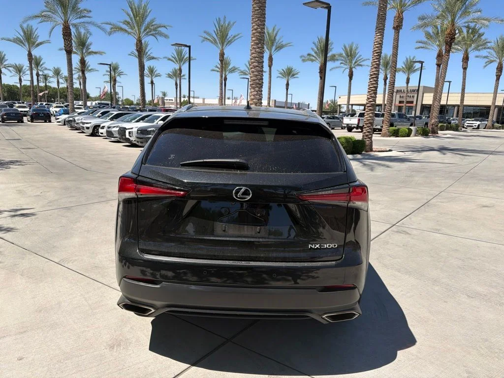 Used 2019 Black Lexus 300 Base image 3
