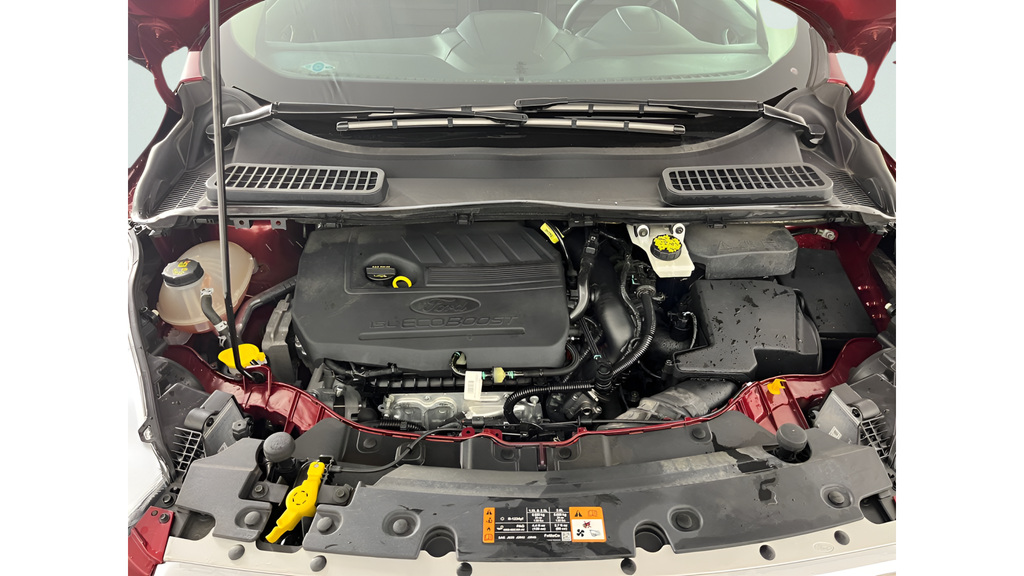 Used 2018 Ruby Red Metallic Ford SEL image 19