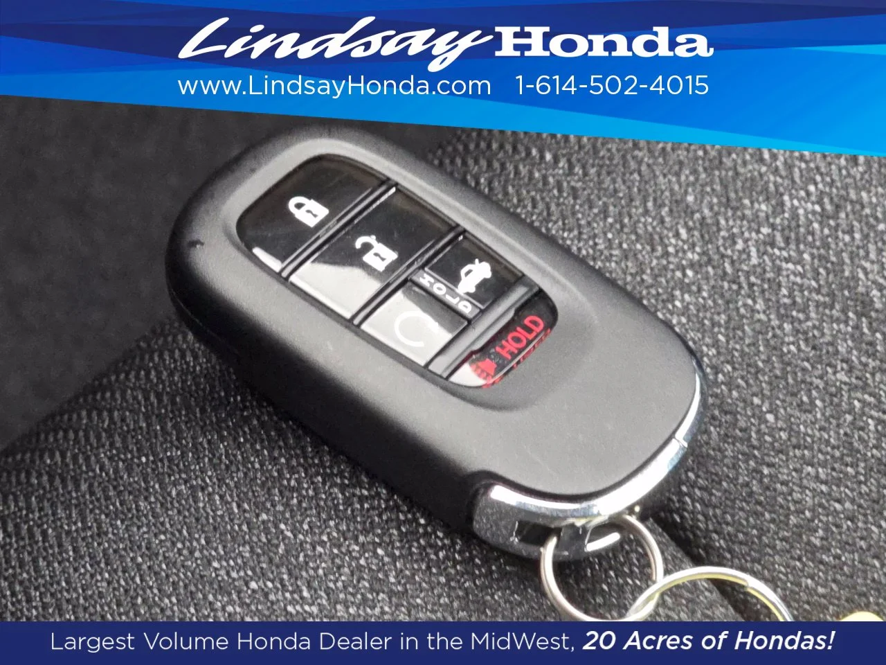 New 2026 Platinum White Pearl Honda LX image 26
