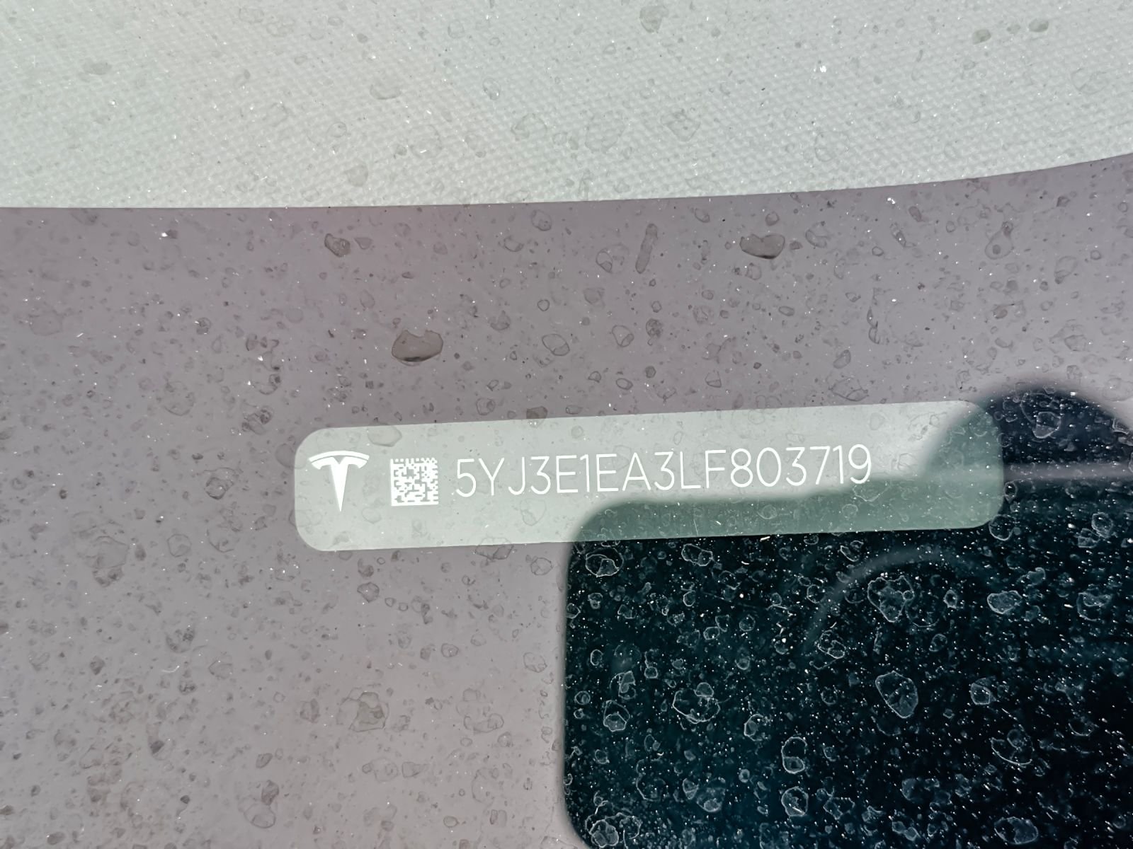 Used 2020 Blue Tesla Standard Range Plus image 2