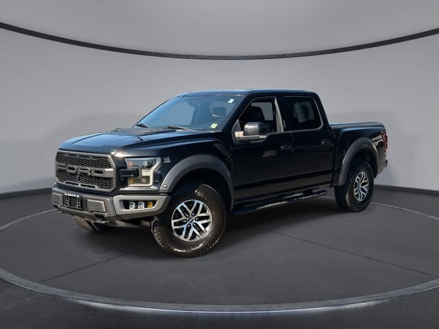 2017 Ford F-150 Raptor